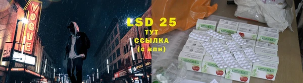 стаф Вяземский