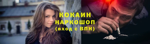 молекула духа Вязьма