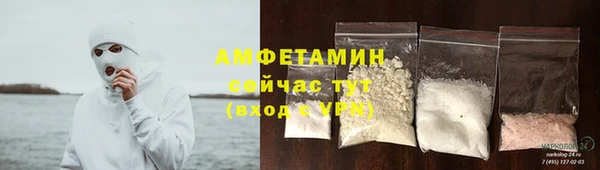 стаф Вяземский