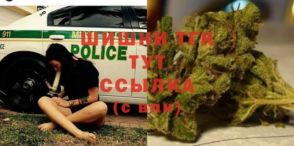 стаф Вяземский