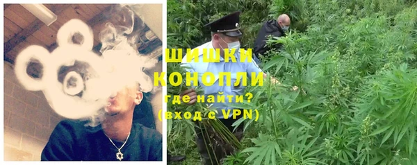 молекула духа Вязьма